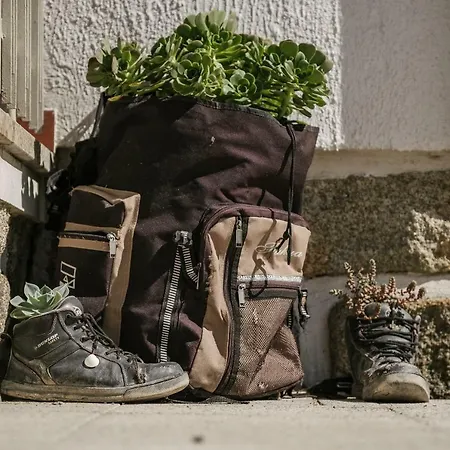 Sleep&go Vandrarhem *