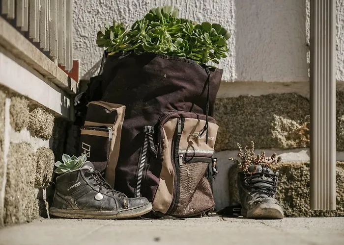 Sleep&go 호스텔 *